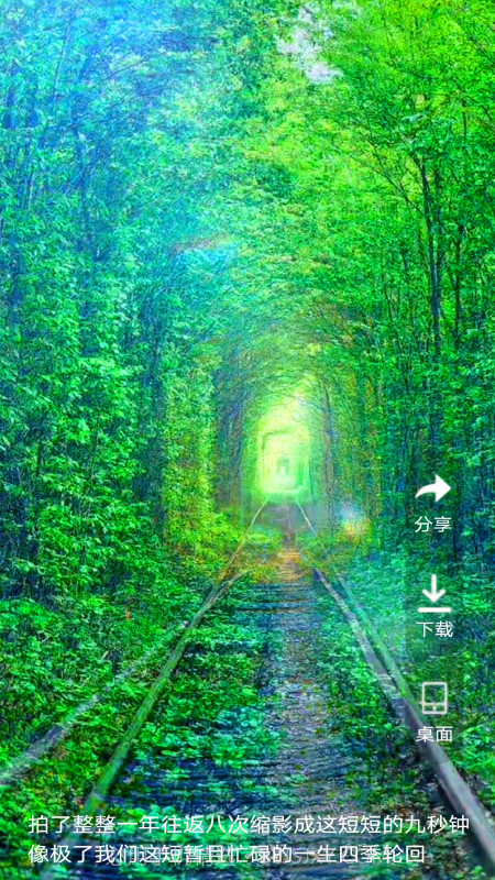 爱动态壁纸截图2 爱动态壁纸截图2