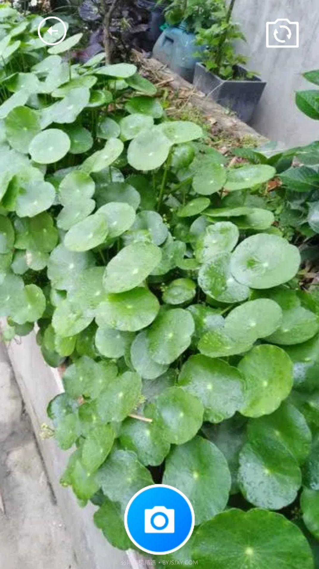 铜钱宝匣截图2 铜钱宝匣截图2