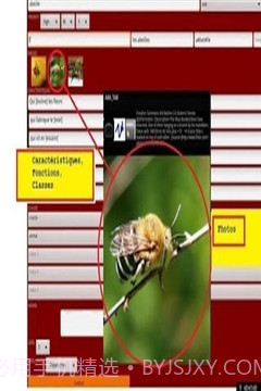 ABA自闭症教育截图3