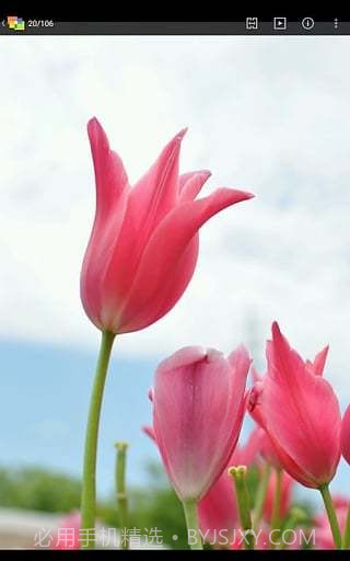 NIKON IMAGE SPACE截图3