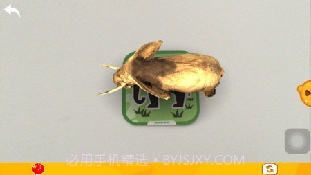 口袋动物园2截图2