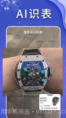 懂表帝ai识表截图1 懂表帝ai识表截图1