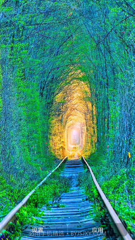 爱动态壁纸截图4 爱动态壁纸截图4