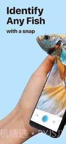 Picture Fish鱼类识别截图1