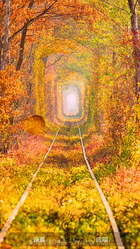 爱动态壁纸截图3 爱动态壁纸截图3