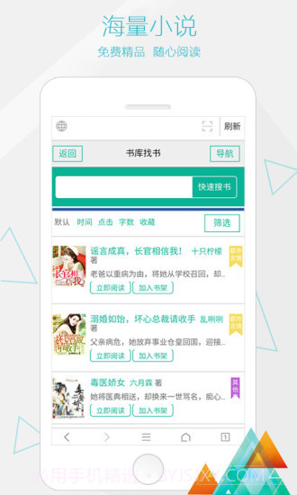 一个浏览器截图2