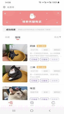 小猫先生截图3 小猫先生截图3