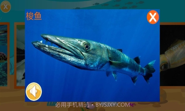 儿童快速识动物(好用婴幼儿早教助手)V1.2 安卓手机版截图3