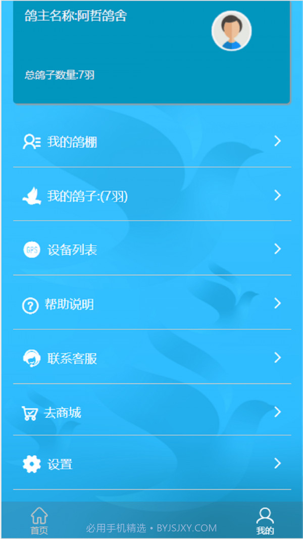 中国信鸽比赛截图1