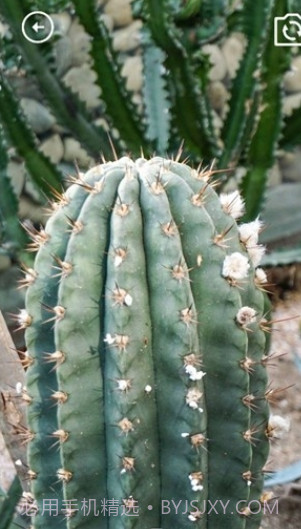 妙妙生活贴心宝截图3