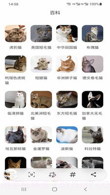 小猫先生截图1 小猫先生截图1