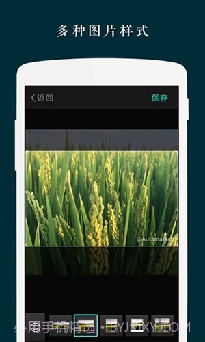 Zine长微博工具截图2