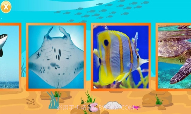 儿童快速识动物(好用婴幼儿早教助手)V1.2 安卓手机版截图1