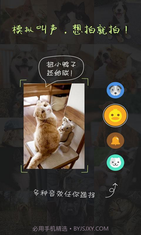 萌宠相机截图2