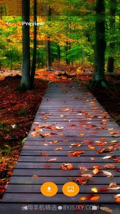 全球主题和壁纸截图4