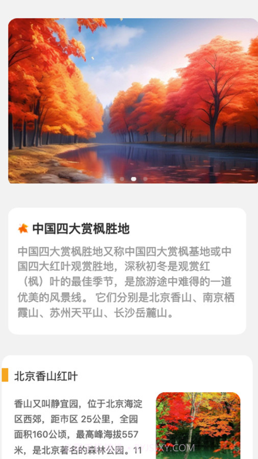 枫叶悦看截图1