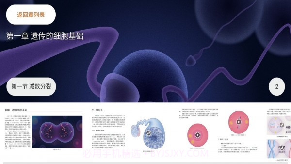 遗传与进化截图2