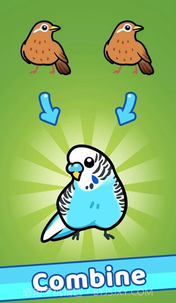 放置鸟乐园截图2