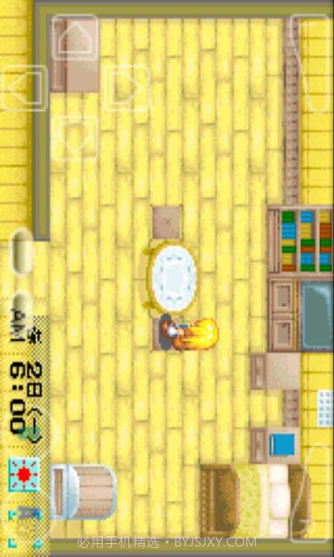 牧场物语：矿石镇的伙伴们女孩版截图2