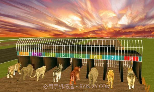 疯狂的丛林动物竞速截图2 疯狂的丛林动物竞速截图2