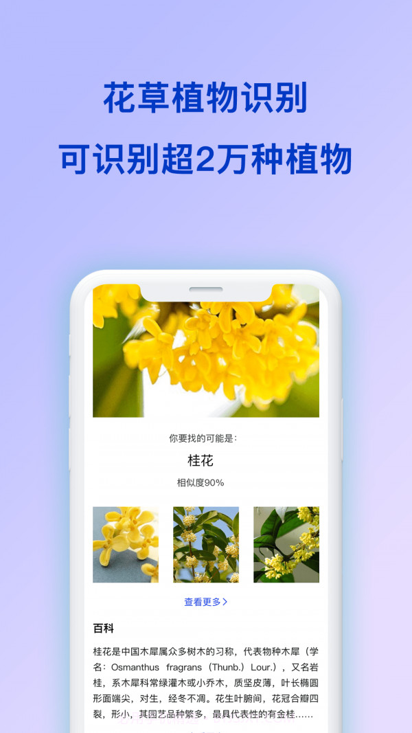 动物识别截图2 动物识别截图2
