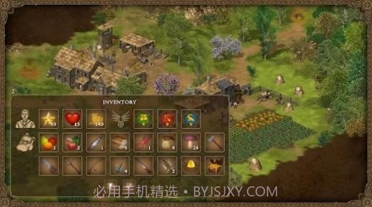 王国英雄完整版截图2