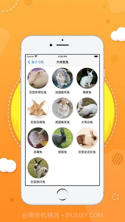 奥尼截图2 奥尼截图2