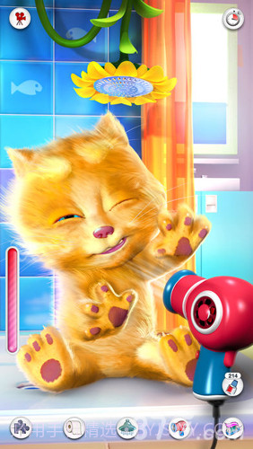 我的金杰猫截图4 我的金杰猫截图4