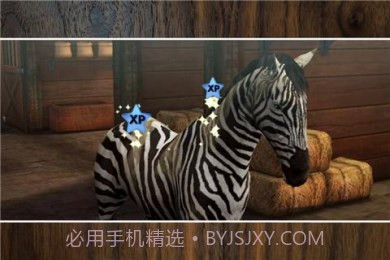 我的马儿截图2 我的马儿截图2