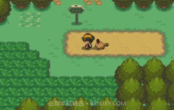 口袋妖怪心金随机版截图3