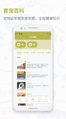 爱宠猫狗翻译器截图4