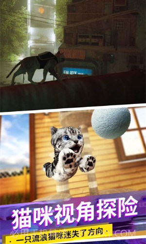猫咪城市模拟器截图2
