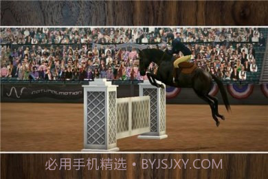 我的马儿截图4 我的马儿截图4