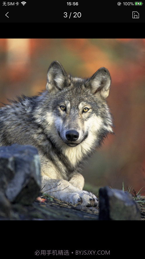 简约壁纸截图3 简约壁纸截图3