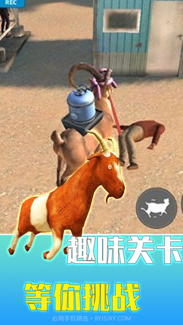 疯狂动物调查局截图3