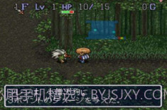 不可思议的迷宫（风来的西林）截图4