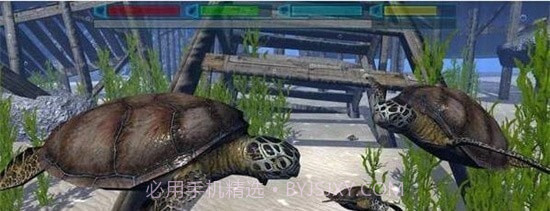 终极海豚模拟器截图1