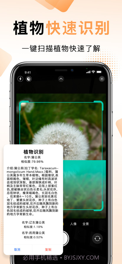 扫描王中王截图8