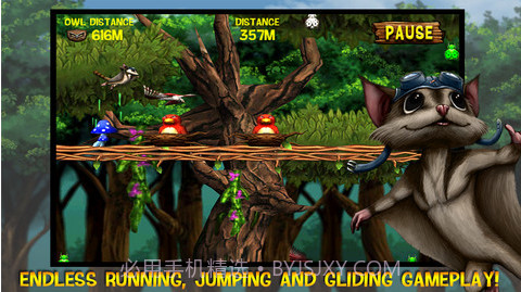 小飞鼠向前冲截图2