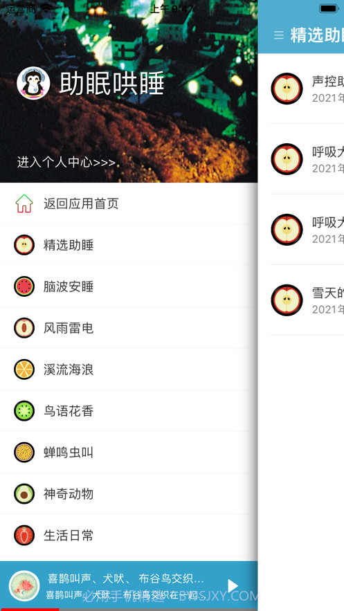 助眠哄睡白噪音截图6