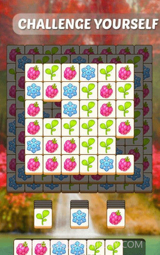 植物们配对截图4