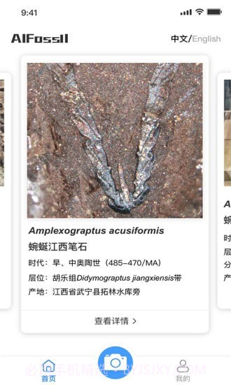 AIFossil截图3