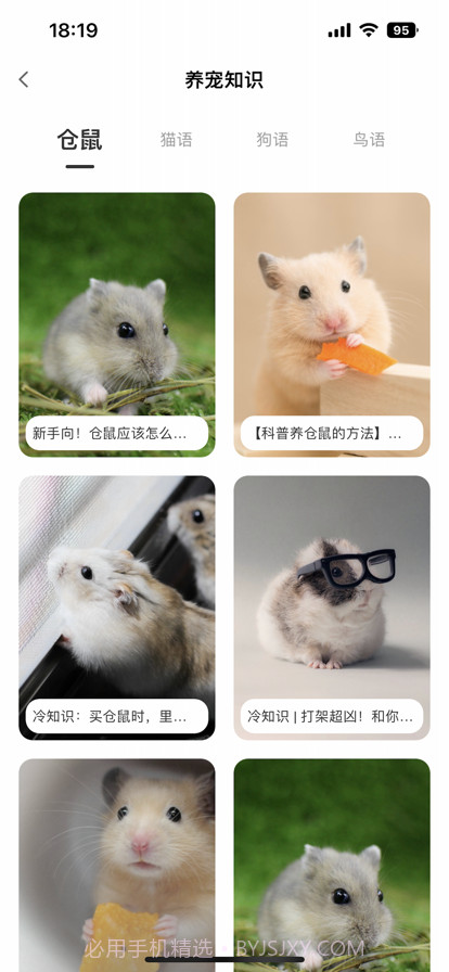 我的仓鼠日常截图1