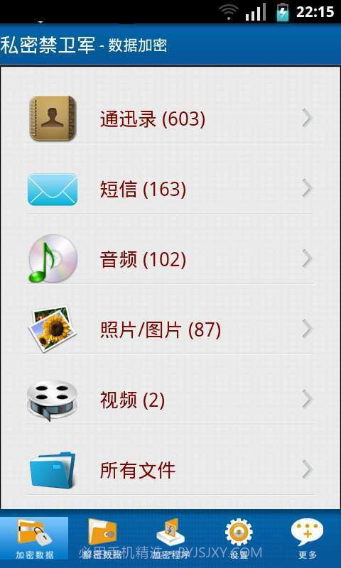私密禁卫军截图1