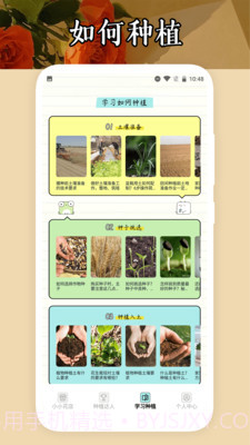 小小花店种养截图3