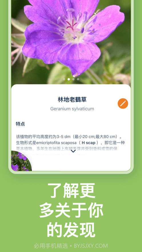 Flora Incognita植物识别截图2
