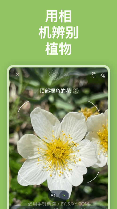 Flora Incognita植物识别截图3