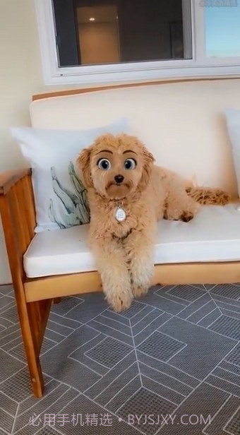 迪士尼滤镜截图2