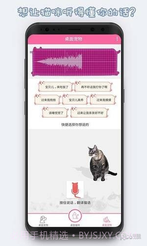 激萌猫咪桌面宠物截图3