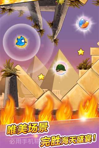 呆鸟也疯狂截图3 呆鸟也疯狂截图3